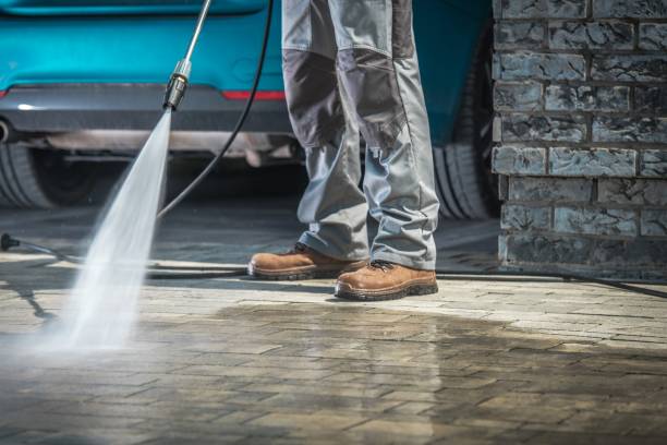 Best Animal Enclosure Cleaning  in Tickfaw, LA